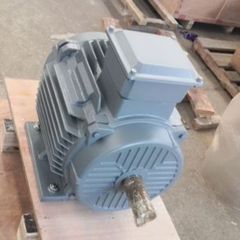 Motor de ímã permanente sem escovas de 24V-1140V oferecendo classificação de grau IP54 otimizado para soluções de máquinas de automação e energia
