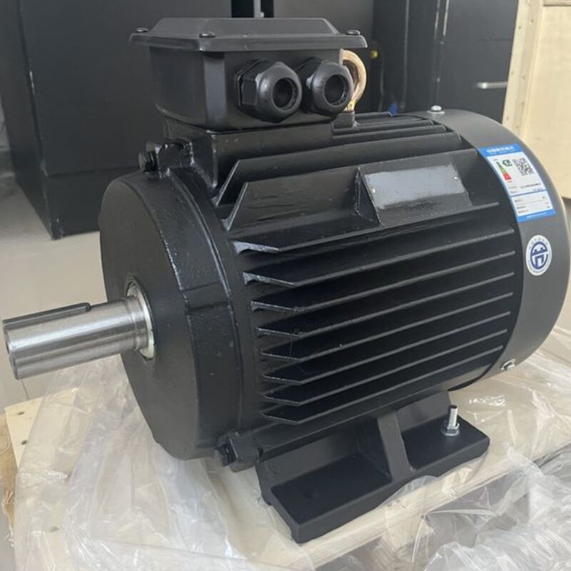 Número de personalização de classificação de tensão do motor magnético de polos 24V 1140V compatível com ampla gama de equipamentos industriais