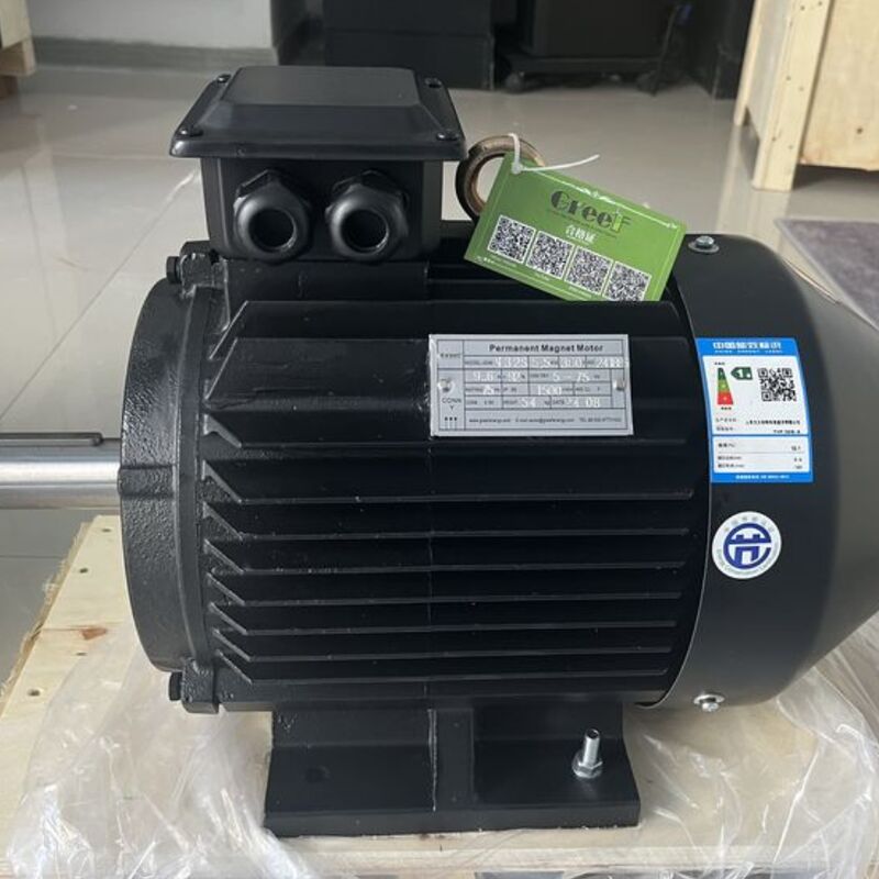 Eficiência acima de 95 por cento Potência nominal do motor magnético 750 W 5 MW Projetado para desempenho na fabricação e processamento