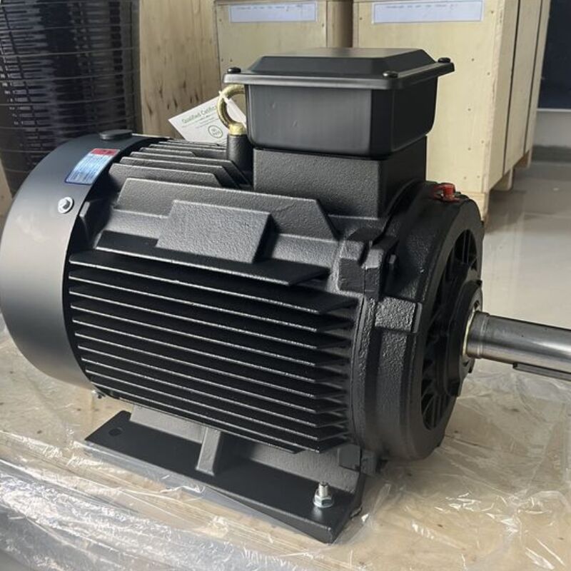 Motor de ímã permanente de alta eficiência com resistência a isolamento de 100Mohm Min, polos personalizáveis e rolamentos SKF