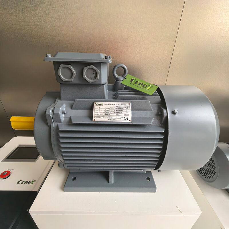 Gerador de ímãs permanentes de 12VAC a 1140VAC com auto-refrigeração por água do ventilador e classificação IP54