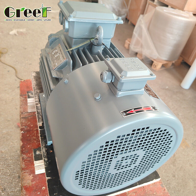 Motor síncrono de ímã permanente de proteção térmica integrada com proteção contra sobreaquecimento IP55 e PTC 380V