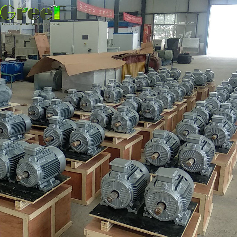 1MW 380Vac Energia livre gerador de turbina hidráulica de torque de arranque baixo 5MW PMG